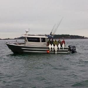 Meet your Posher, Jesse